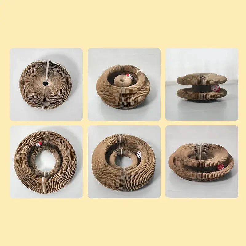 Magic Organ Cat Scratcher – Play, Scratch & Discover