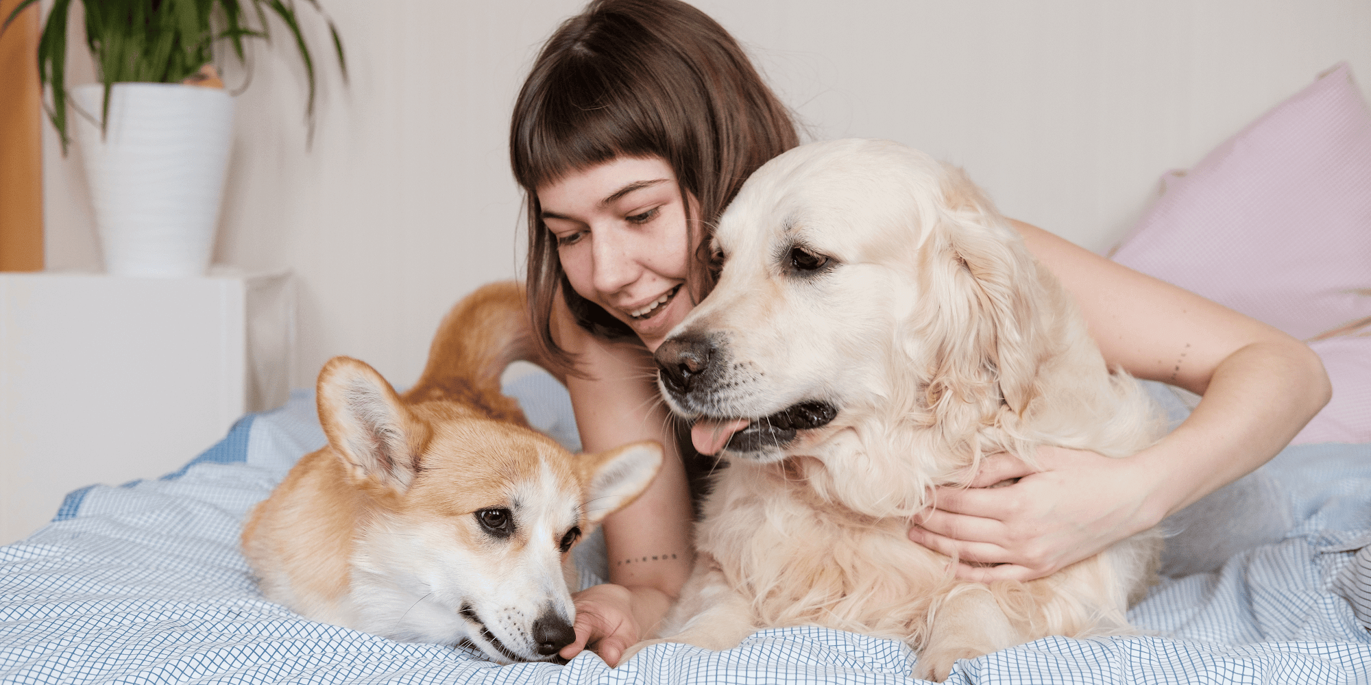 Image produit - Banner-2