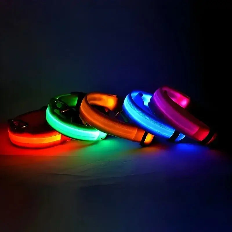 PARENCE – LED Light Collar for Dogs