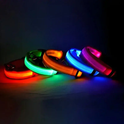 PARENCE – LED Light Collar for Dogs