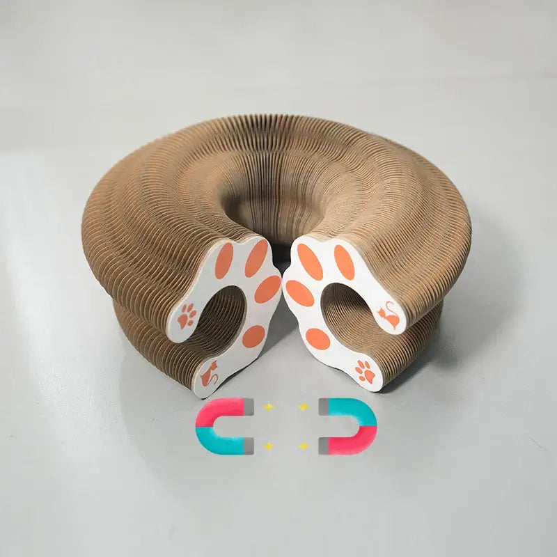 Magic Organ Cat Scratcher – Play, Scratch & Discover