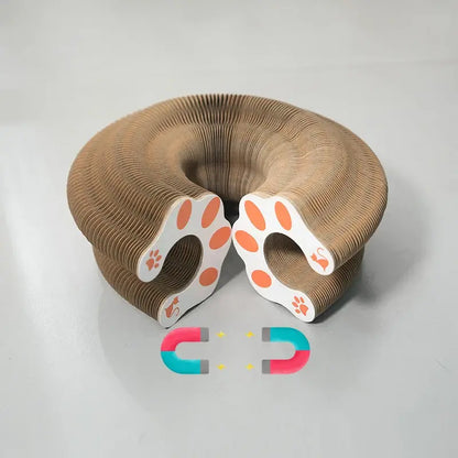 Magic Organ Cat Scratcher – Play, Scratch & Discover