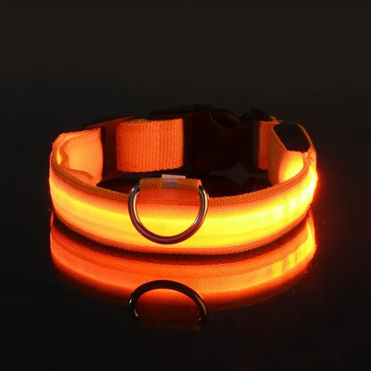 PARENCE – LED Light Collar for Dogs