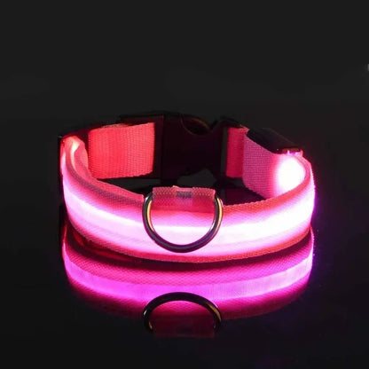 PARENCE – LED Light Collar for Dogs