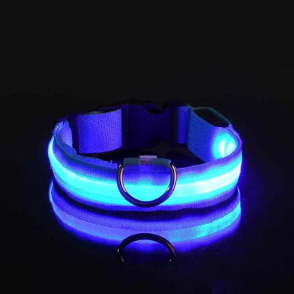 PARENCE – LED Light Collar for Dogs