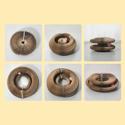 Magic Organ Cat Scratcher – Play, Scratch & Discover