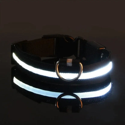 PARENCE – LED Light Collar for Dogs