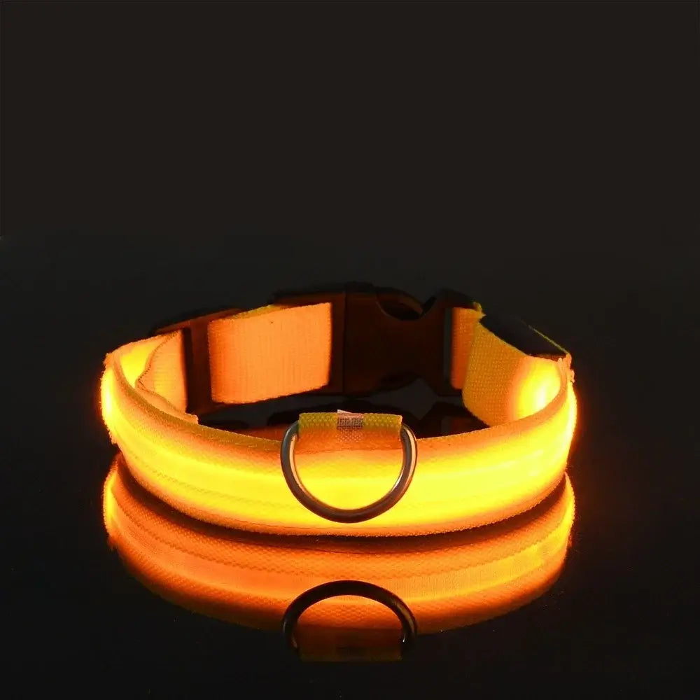 PARENCE – LED Light Collar for Dogs