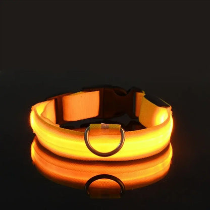 PARENCE – LED Light Collar for Dogs