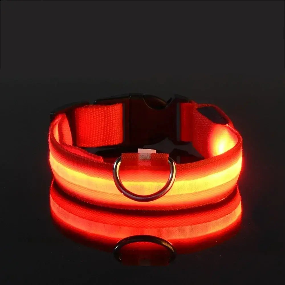 PARENCE – LED Light Collar for Dogs