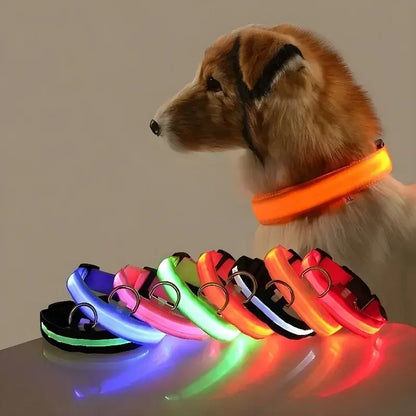 PARENCE – LED Light Collar for Dogs