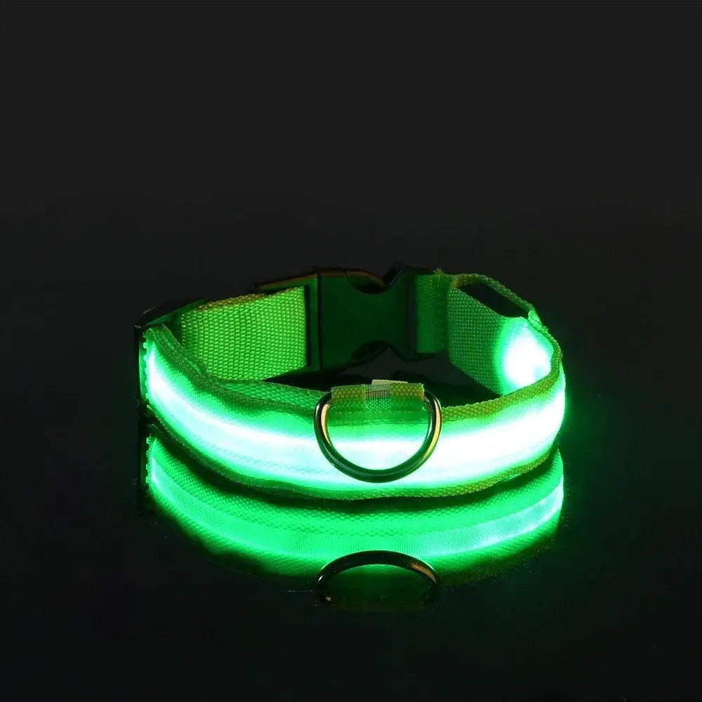 PARENCE – LED Light Collar for Dogs